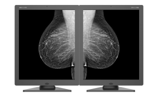 Monochromatyczny monitor JUSHA 5MP M53