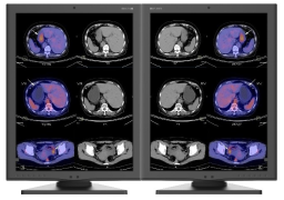 Kolorowy monitor JUSHA C270G 2 MP